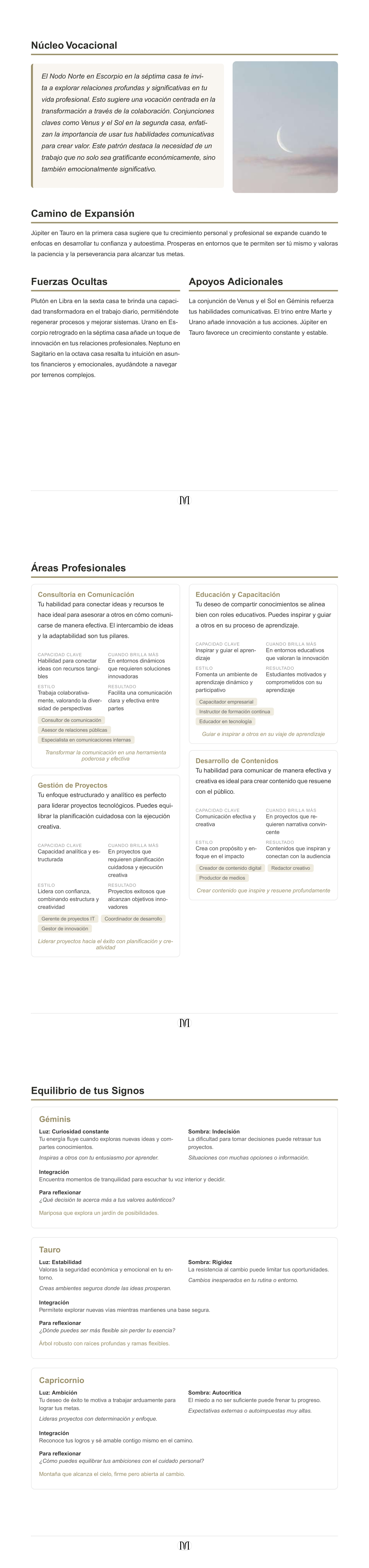 Preview del informe ADN Profesional